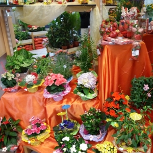 Geschenkartikel 4