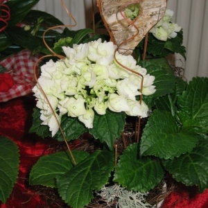 Sträuße als Geschenk 1