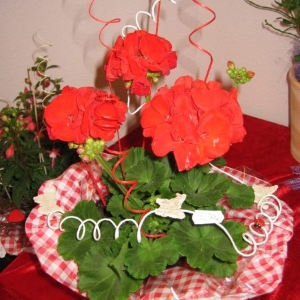 Sträuße als Geschenk 2