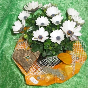Sträuße als Geschenk 3