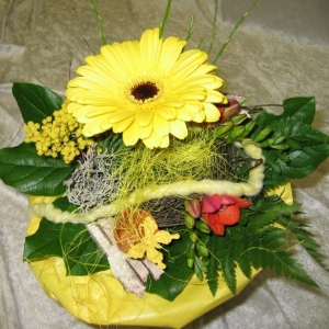 Strauß 1