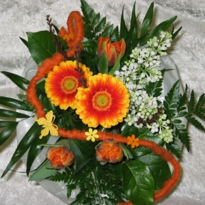 Strauß 3