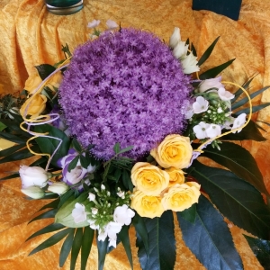 Strauß 10