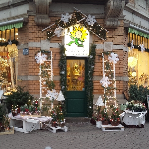Weihnachten 17